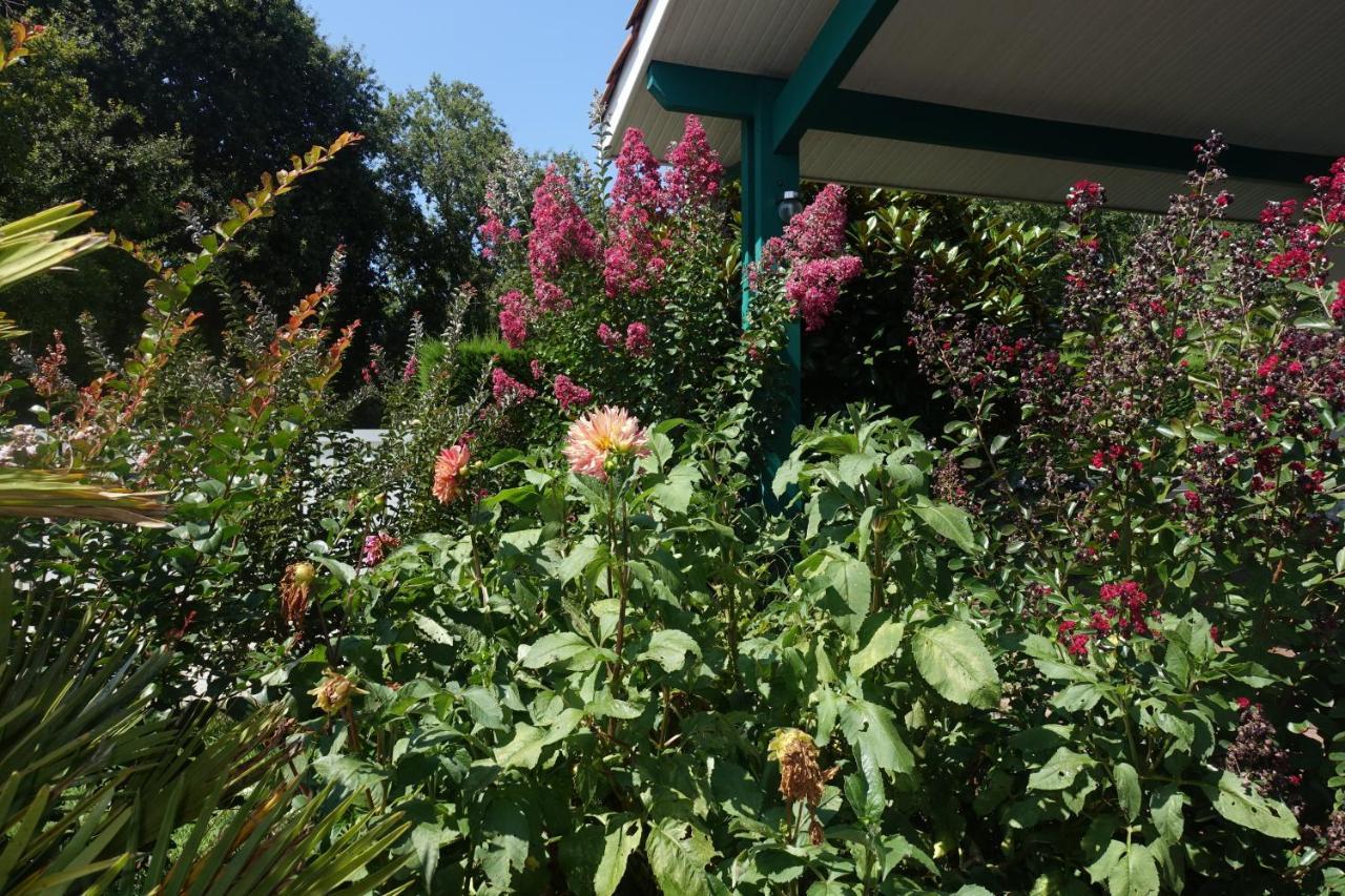 L Annexe Bed and Breakfast Biscarrosse Buitenkant foto